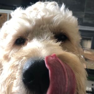 Meet your Posher, Makayla